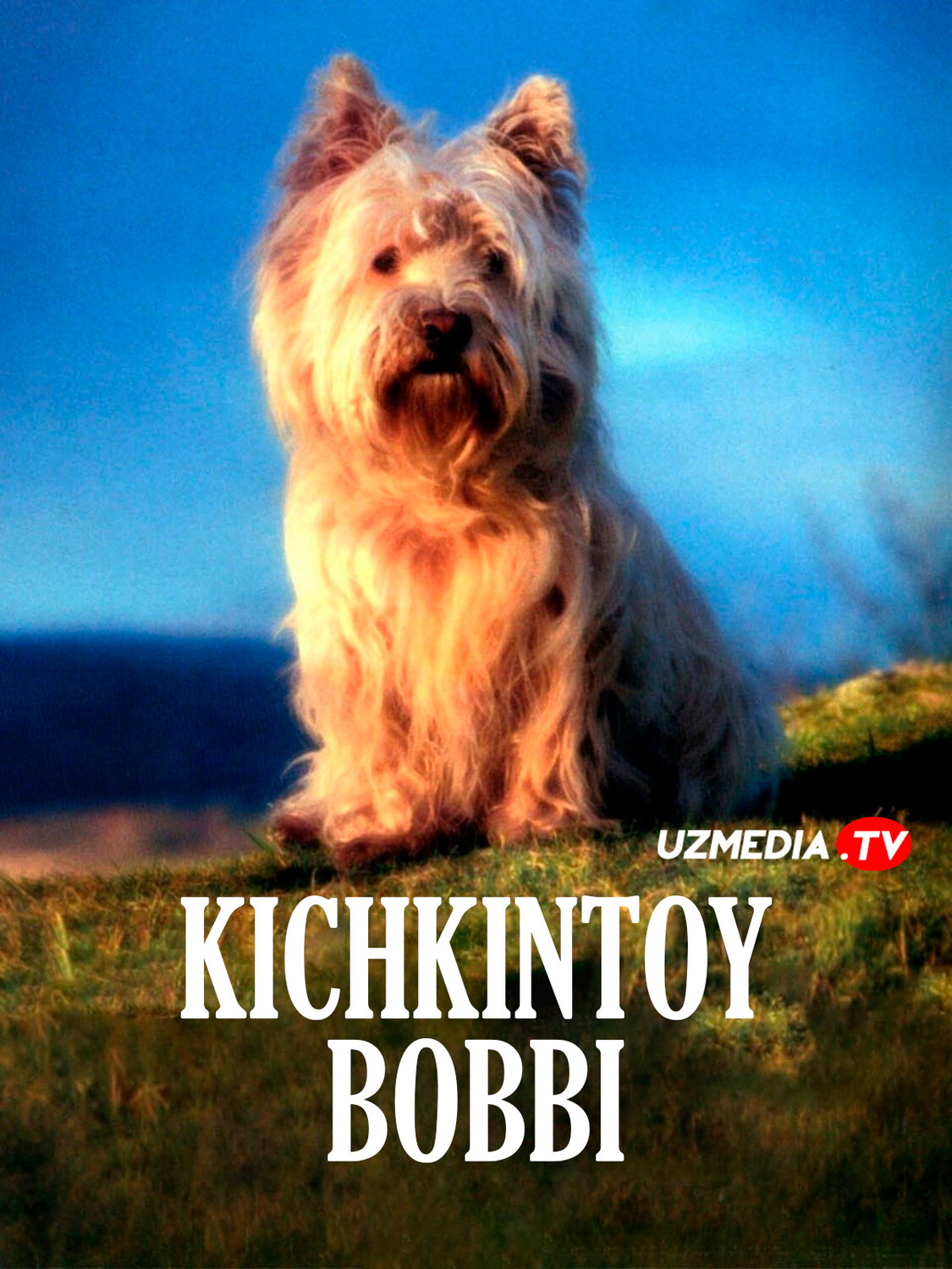 Greyfriars Bobbining sarguzashtlari / Kichkina Bobbiy Uzbek tilida O'zbekcha 2005 tarjima kino Full HD tas-ix skachat