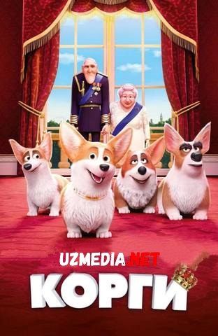 Korgining Sarguzashtlari / Qirol Korgi Multfilm Uzbek tilida O'zbekcha tarjima 2019 HD skachat
