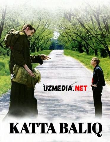 Katta baliq Uzbek tilida O'zbekcha tarjima kino 2003 HD skachat