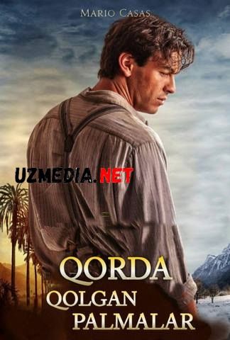 Qorda qolgan Palmalar / Qordagi Palmalar Uzbek tilida tarjima 2015 HD O'zbek tilida HD tas-ix skachat