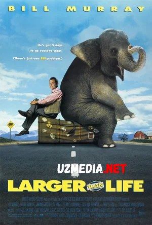 G'aroyib Meros / Hayotdan ko'proq Uzbek tilida O'zbekcha tarjima kino 1996 HD tas-ix skachat