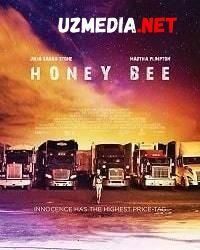 Asalari / Asalari qutisi Uzbek tilida O'zbekcha tarjima kino 2020 HD tas-ix skachat