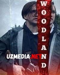 O'rmonlar / Ormon / Urmon Uzbek tilida O'zbekcha tarjima kino 2019 HD tas-ix skachat