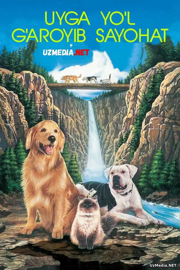 G'aroyib sayohat: Uyga yo'l Uzbek tilida O'zbekcha tarjima kino 1993 Full HD tas-ix skachat