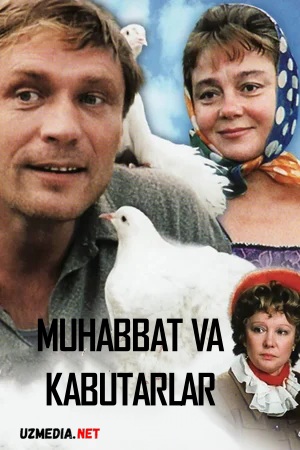 Muhabbat va kabutarlar Uzbek tilida O'zbekcha 1984 tarjima kino Full HD tas-ix skachat