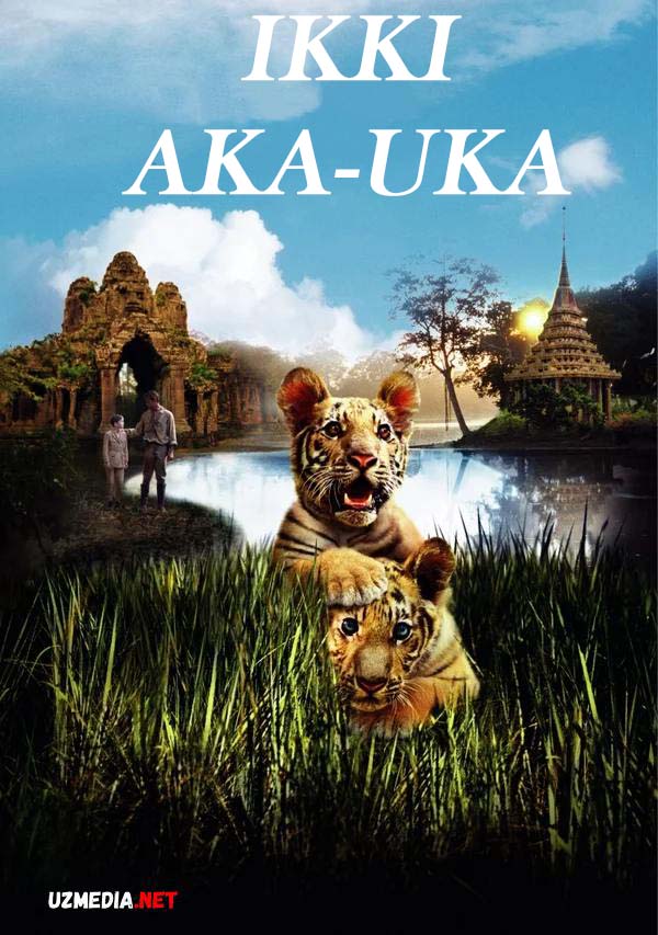 Ikki aka-uka yo'lbars / 2 aka ukalar Uzbek tilida 2004 HD skachat